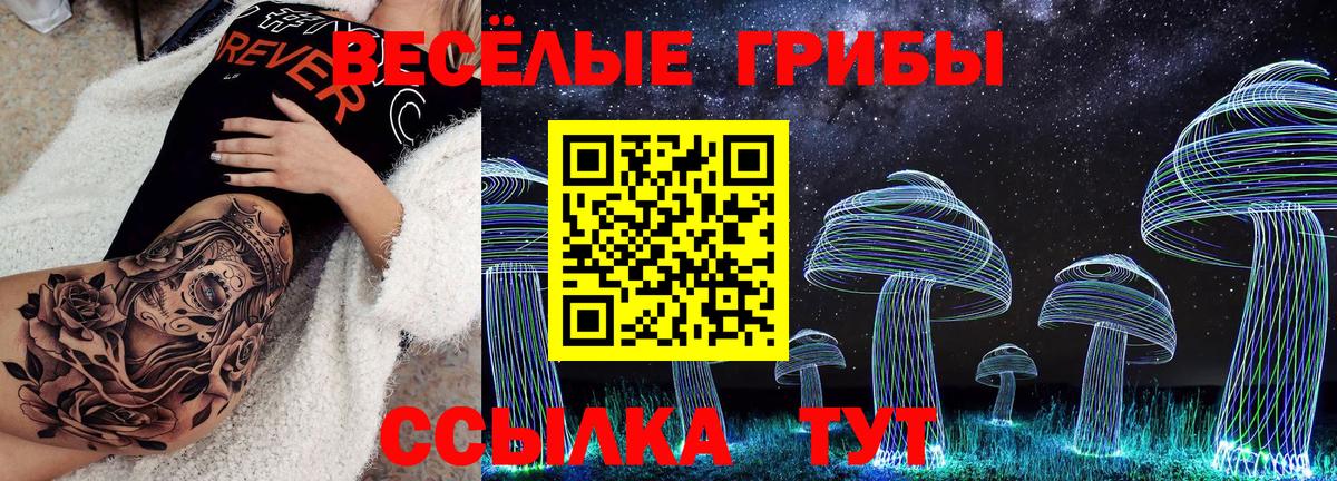 Назрань  Галлюциногенные грибы Cubensis  Вход с VPN 